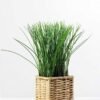 24cm Grass Artificial Plant  in Sea grass basket