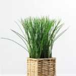 24cm Grass Artificial Plant  in Sea grass basket