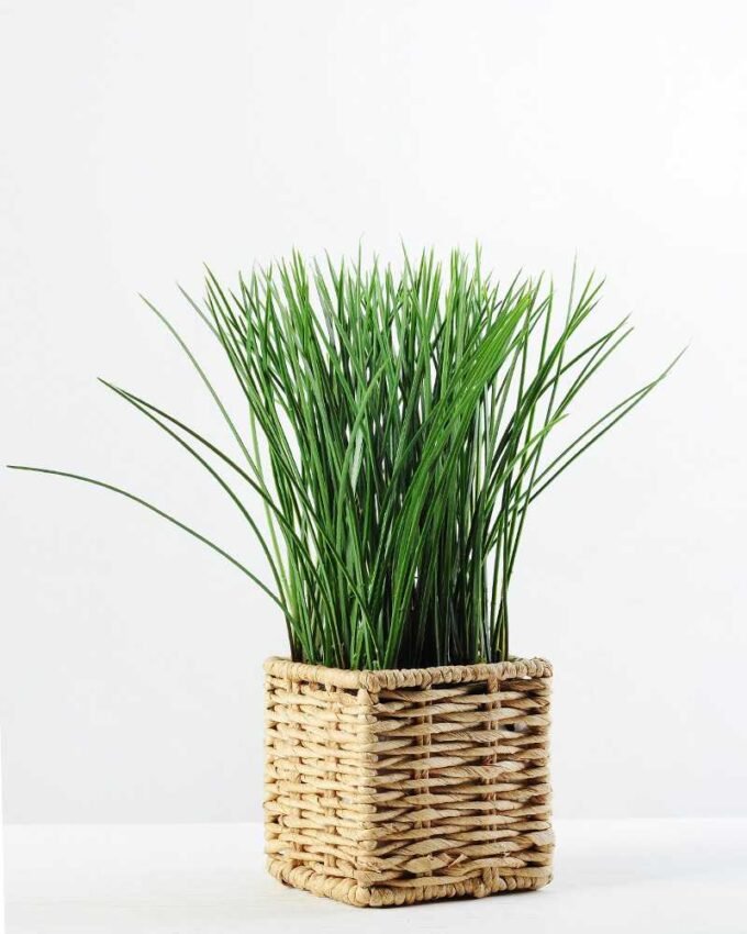 24cm Grass Artificial Plant  in Sea grass basket