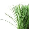 24cm Grass Artificial Plant  in Sea grass basket