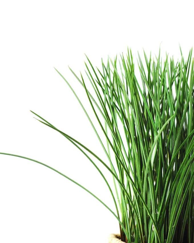 24cm Grass Artificial Plant  in Sea grass basket