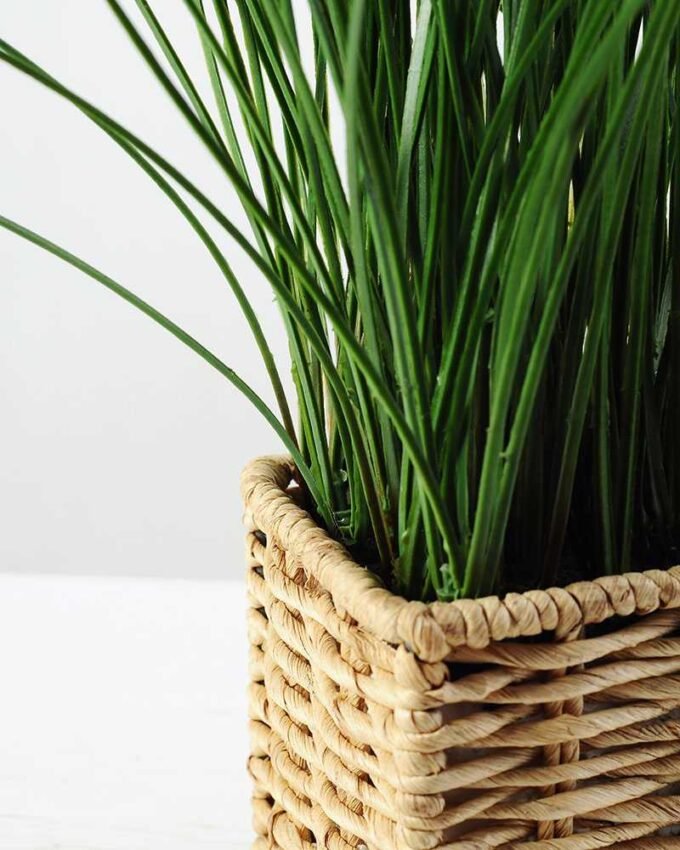 24cm Grass Artificial Plant  in Sea grass basket