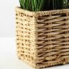 24cm Grass Artificial Plant  in Sea grass basket