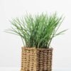 24cm Grass Artificial Plant  in Sea grass basket