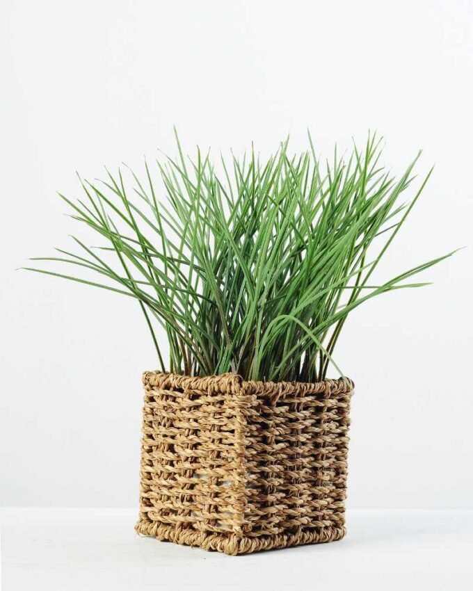 24cm Grass Artificial Plant  in Sea grass basket