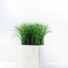 16cm Grass Artificial Plant  in Paper Pulp pot