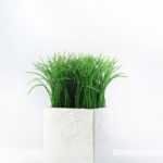 16cm Grass Artificial Plant  in Paper Pulp pot