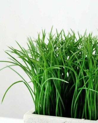 16cm Grass Artificial Plant in Paper Pulp pot Potted Flowers&Plants YeahFlower is one of Chinese leading OEM manufacturers and exporters , supplying the silk flowers, wholesale artificial trees 16cm Grass Artificial Plant in Paper Pulp pot