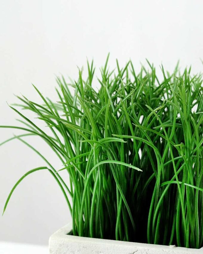 16cm Grass Artificial Plant  in Paper Pulp pot