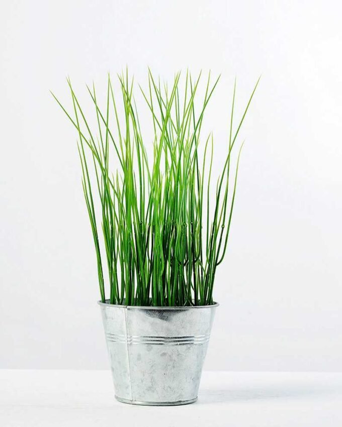 28cm Grass Artificial Plant  in Metal Pot