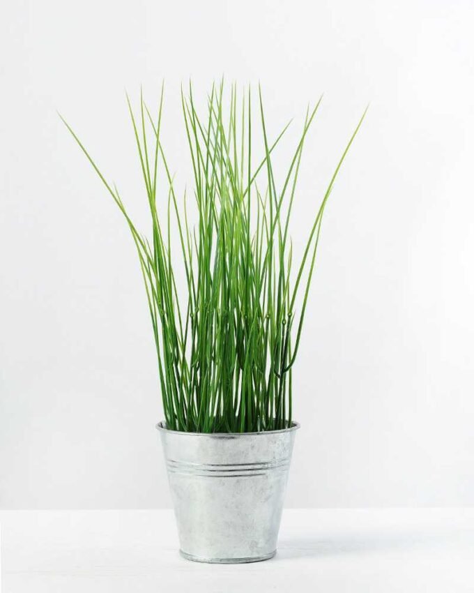 30cm Grass Artificial Plant in Metal Pot 1 30cm Grass Artificial Plant in Metal Pot