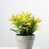 18cm Grass Artificial Plant  in Paper Pulp pot