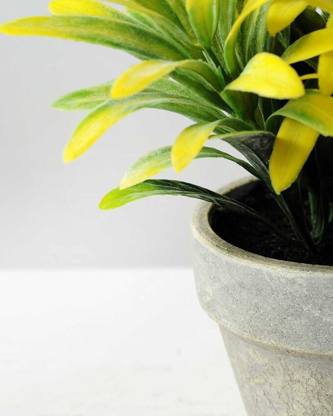 18cm Grass Artificial Plant  in Paper Pulp pot