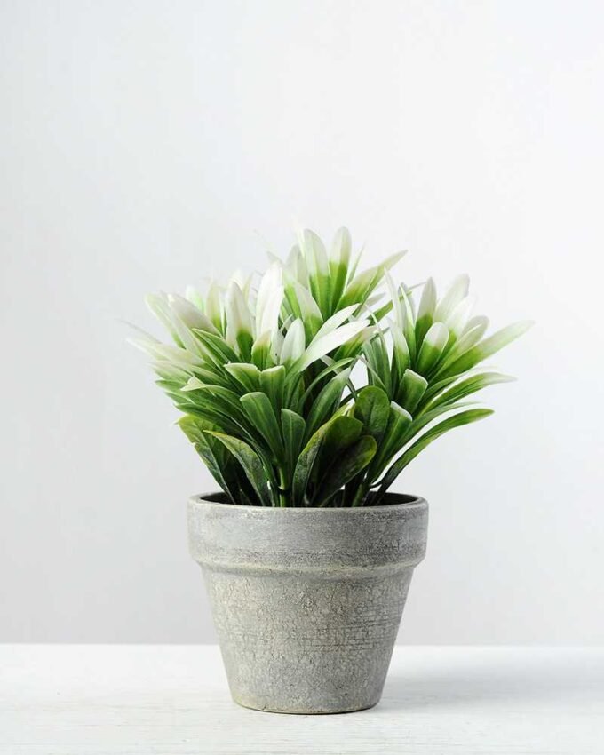 18cm Grass Artificial Plant  in Paper Pulp pot