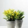18cm Grass Artificial Plant  in Paper Pulp pot