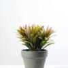 28cm Grass Artificial Plant  in Paper Pulp pot in Metal Frame