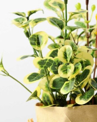 20cm Grass Artificial Plant  in Paper wrap pot