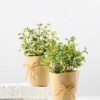 20cm Grass Artificial Plant  in Paper wrap pot