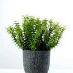 30cm Grass Artificial Plant  in Cement Pot