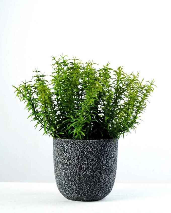 30cm Grass Artificial Plant  in Cement Pot
