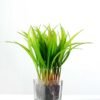 18cm Grass Artificial Plant  in Glass ware