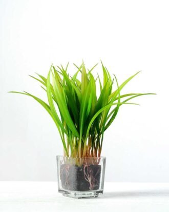 18cm Grass Artificial Plant  in Glass ware