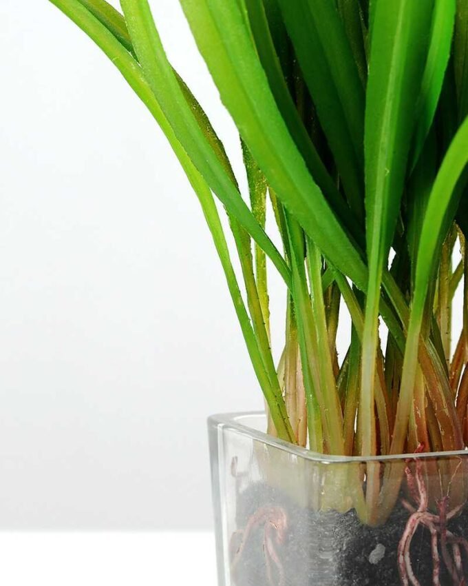 18cm Grass Artificial Plant  in Glass ware