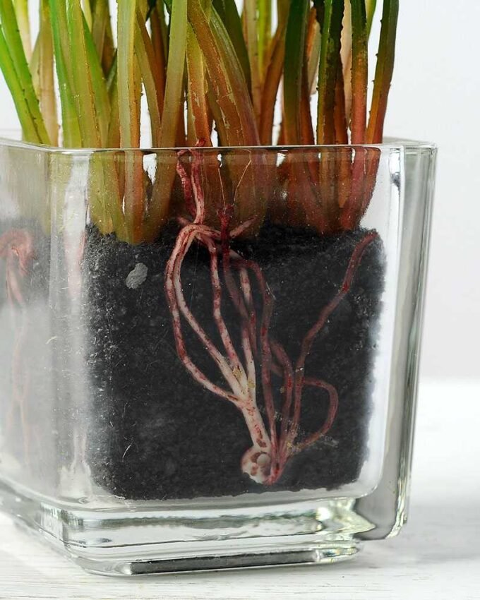 18cm Grass Artificial Plant  in Glass ware