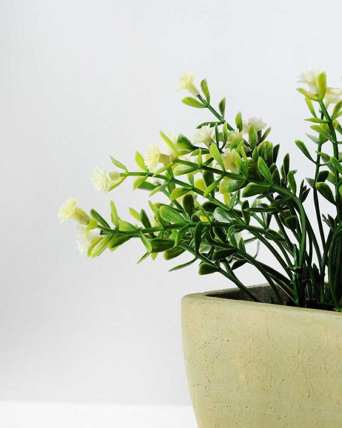 15cm Gypsophila Silk Flower  in Paper Pulp pot