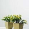 15cm Gypsophila Silk Flower  in Paper Pulp pot