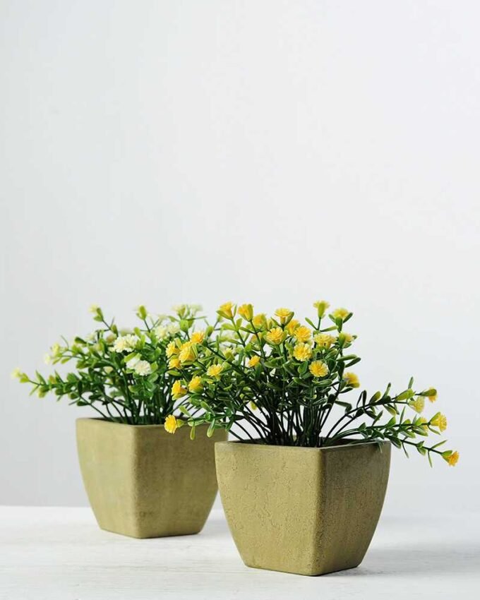 15cm Gypsophila Silk Flower  in Paper Pulp pot