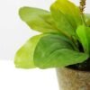 24cm Herba Plantaginis Artificial Plant  in Metal Pot