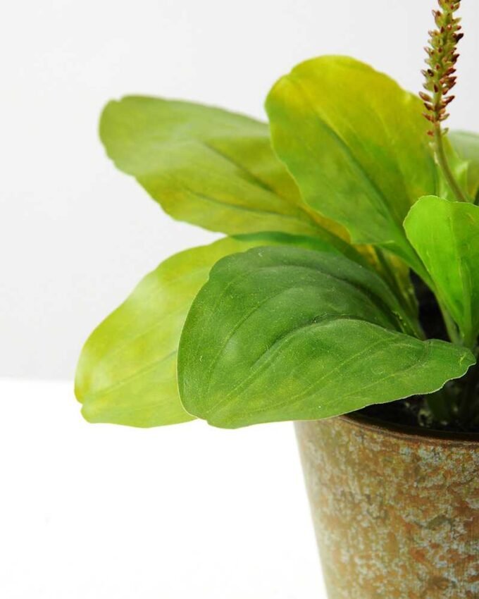 24cm Herba Plantaginis Artificial Plant  in Metal Pot