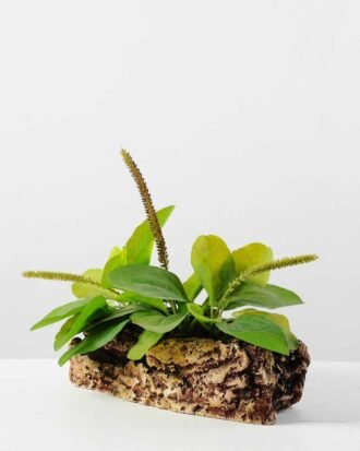 22cm Herba Plantaginis Artificial Plant  in Paper Pulp pot