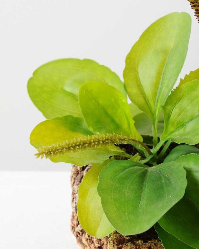 22cm Herba Plantaginis Artificial Plant  in Paper Pulp pot