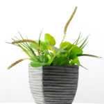 40cm Herba Plantaginis Artificial Plant  in Paper Pulp pot