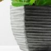 40cm Herba Plantaginis Artificial Plant  in Paper Pulp pot