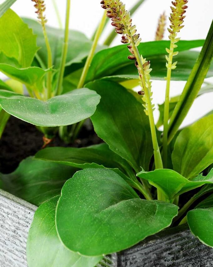 25cm Herba Plantaginis Artificial Plant in Paper Pulp pot 3 25cm Herba Plantaginis Artificial Plant in Paper Pulp pot