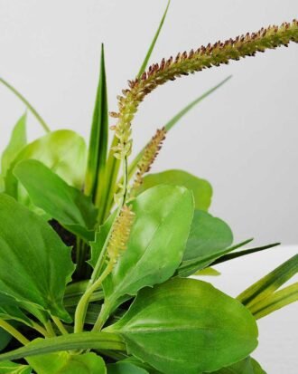 27cm Herba Plantaginis Artificial Plant  in Paper Pulp pot