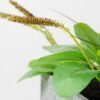 27cm Herba Plantaginis Artificial Plant in Paper Pulp pot 3 27cm Herba Plantaginis Artificial Plant in Paper Pulp pot