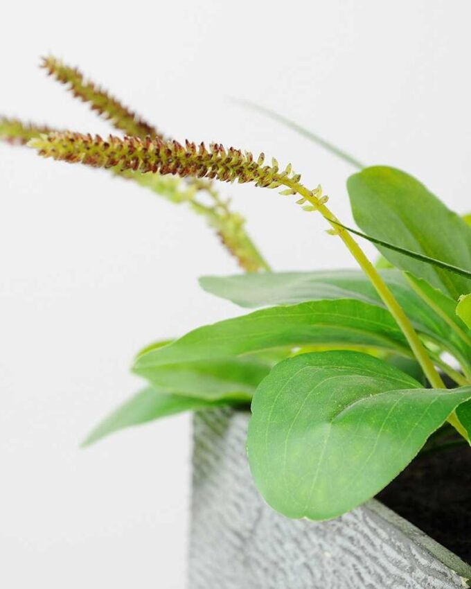 27cm Herba Plantaginis Artificial Plant in Paper Pulp pot 3 27cm Herba Plantaginis Artificial Plant in Paper Pulp pot