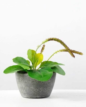 17cm Herba Plantaginis Artificial Plant  in Paper Pulp pot