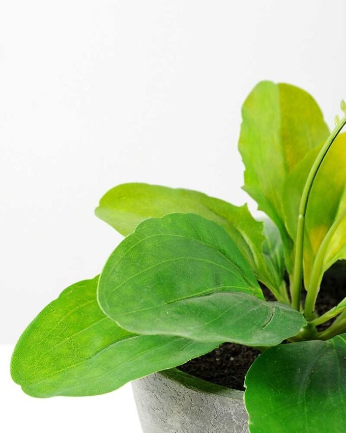 17cm Herba Plantaginis Artificial Plant  in Paper Pulp pot