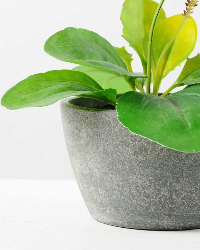 17cm Herba Plantaginis Artificial Plant  in Paper Pulp pot