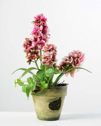 32cm Hyacinth Silk Flower  in Paper Pulp pot