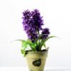 32cm Hyacinth Silk Flower  in Paper Pulp pot
