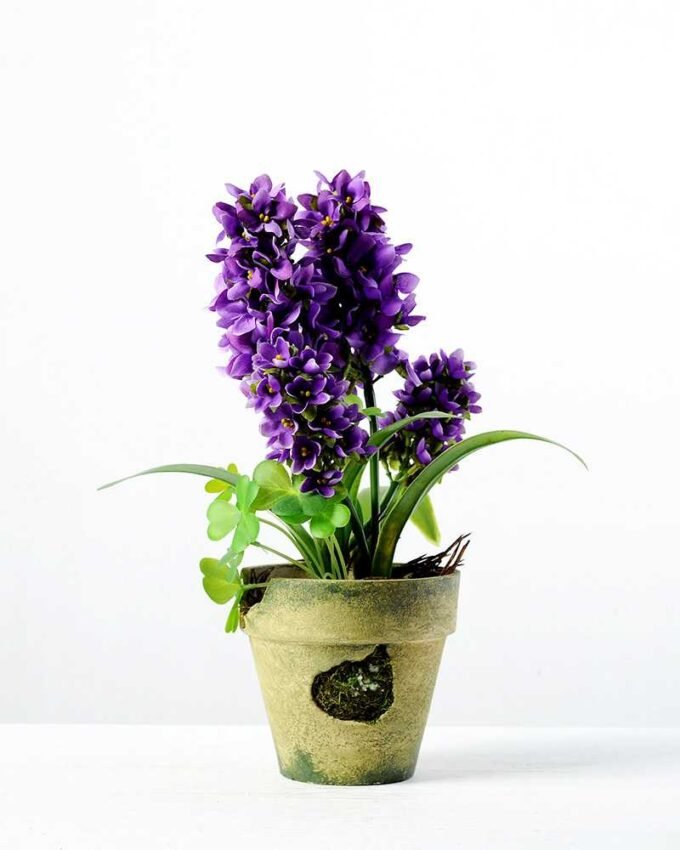 32cm Hyacinth Silk Flower  in Paper Pulp pot