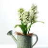 28cm Hyacinth Silk Flower  in Metal Watering Can 3 28cm Hyacinth Silk Flower  in Metal Watering Can