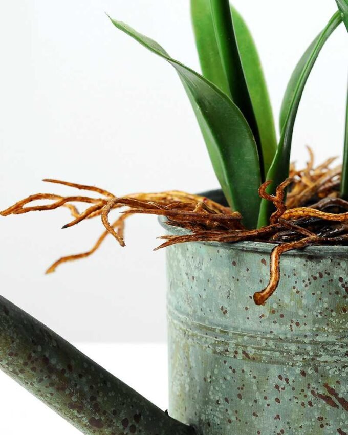 28cm Hyacinth Silk Flower  in Metal Watering Can 5 28cm Hyacinth Silk Flower  in Metal Watering Can