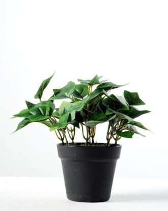 15cm Green Ivy Artificial Plant  in Plastic pot Potted Flowers&Plants YeahFlower is one of Chinese leading OEM manufacturers and exporters , supplying the silk flowers, wholesale artificial trees 15cm Green Ivy Artificial Plant  in Plastic pot